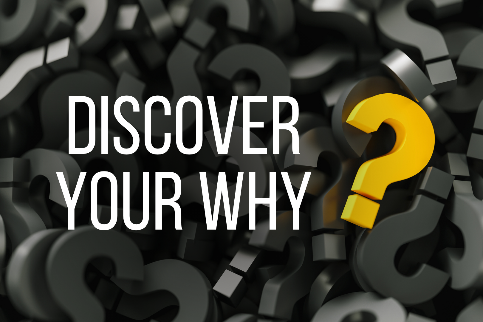 Read more about the article DISCOVER YOUR WHY 